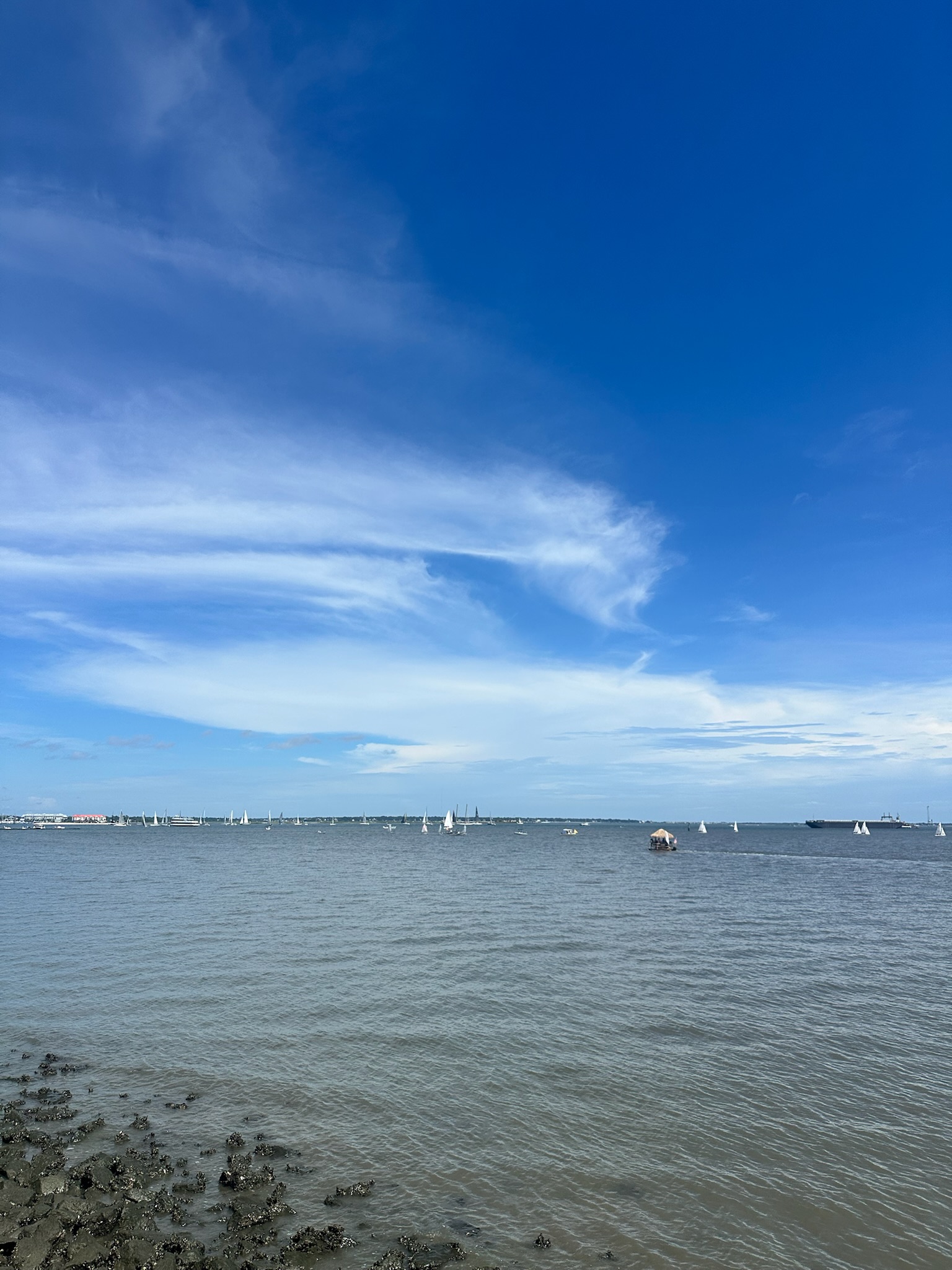 sail boats in the ocean